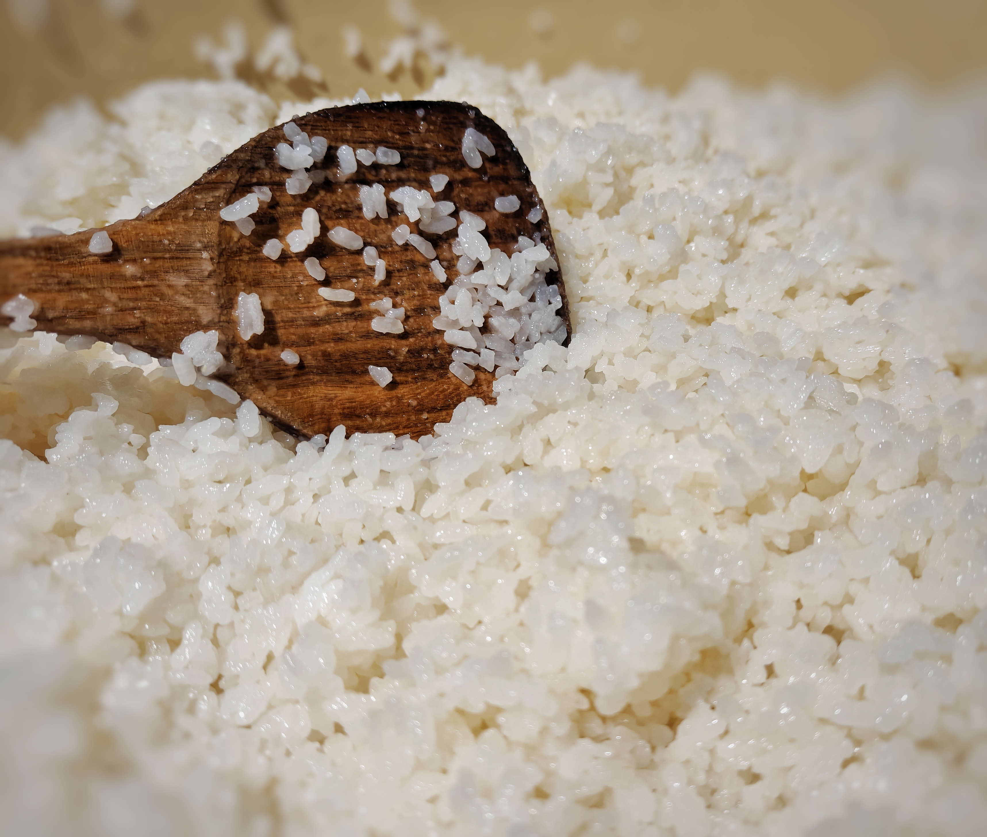 Miyajima Sharikiri arroz de sushi 