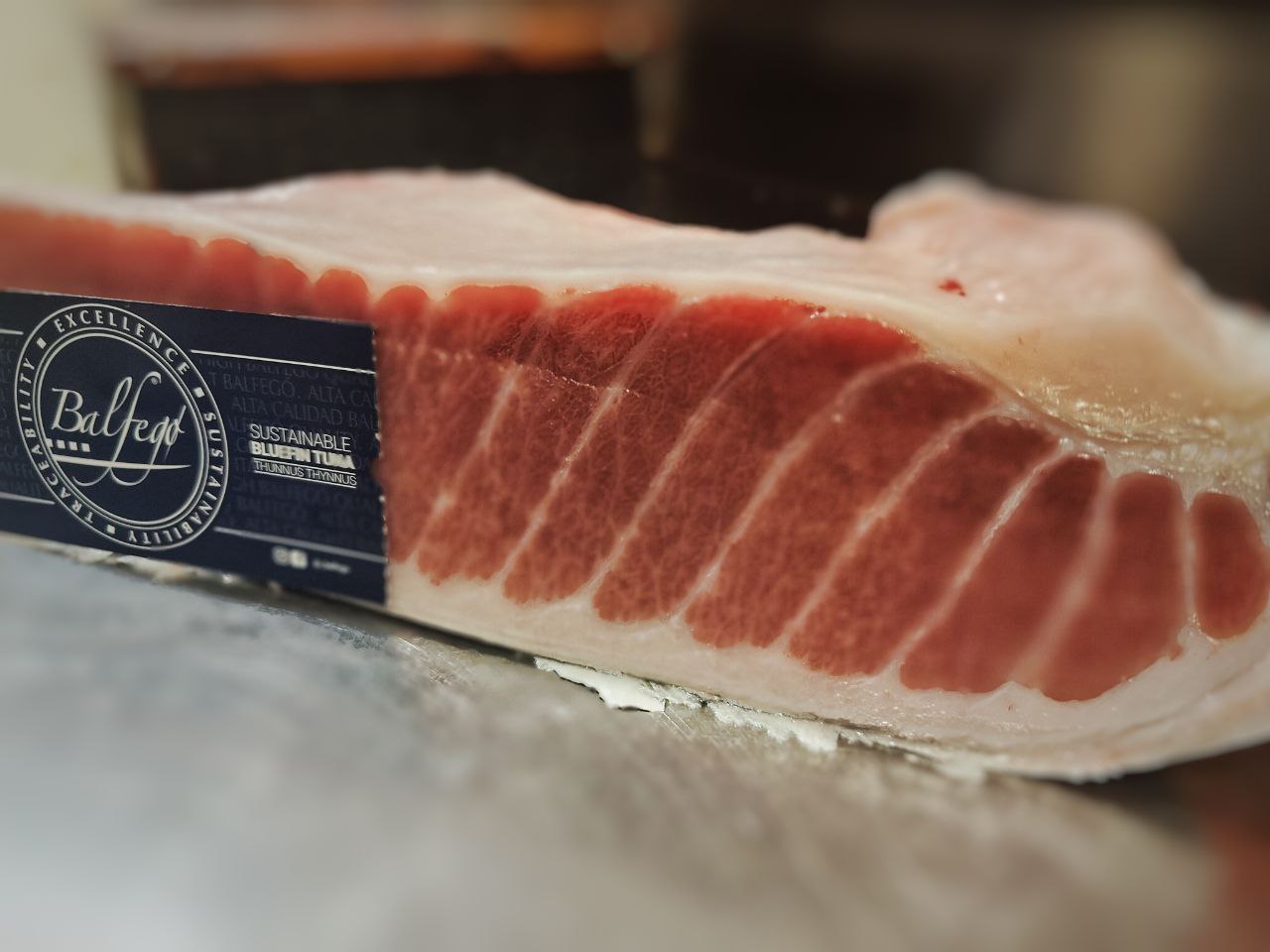 Ventresca de Atún toro Balfegó para sushi sashimi